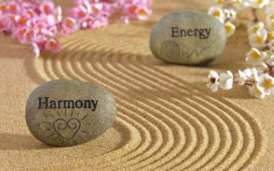 Nächstes Faszientraining am 27.01.2018