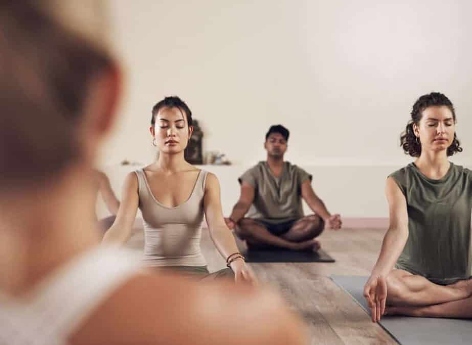 Tripada Yogalehrerausbildung startet bald wieder! – Dezember 2024