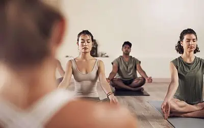 Tripada Yogalehrerausbildung startet bald wieder! – Dezember 2024