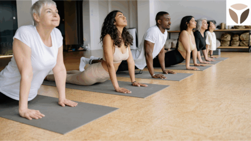 Tripada® Yoga Basic Plus Kurs in Wuppertal – Krankenkassenzertifiziert