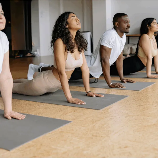 Tripada® Yoga Basic Plus Kurs in Wuppertal – Krankenkassenzertifiziert